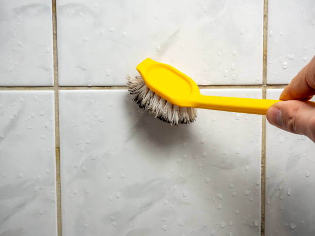 Best Home Mold Removal  in Rocky Point, WA