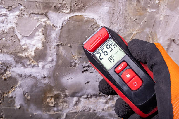 Mold Removal and Inspection in Rocky Point, WA